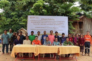 LXML Supports Local Livelihoods with Native Breeding Cows for Disadvantaged Families in Sepon District